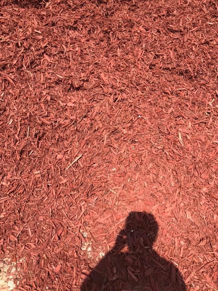 Red mulch ground with a person’s shadow at the bottom edge.