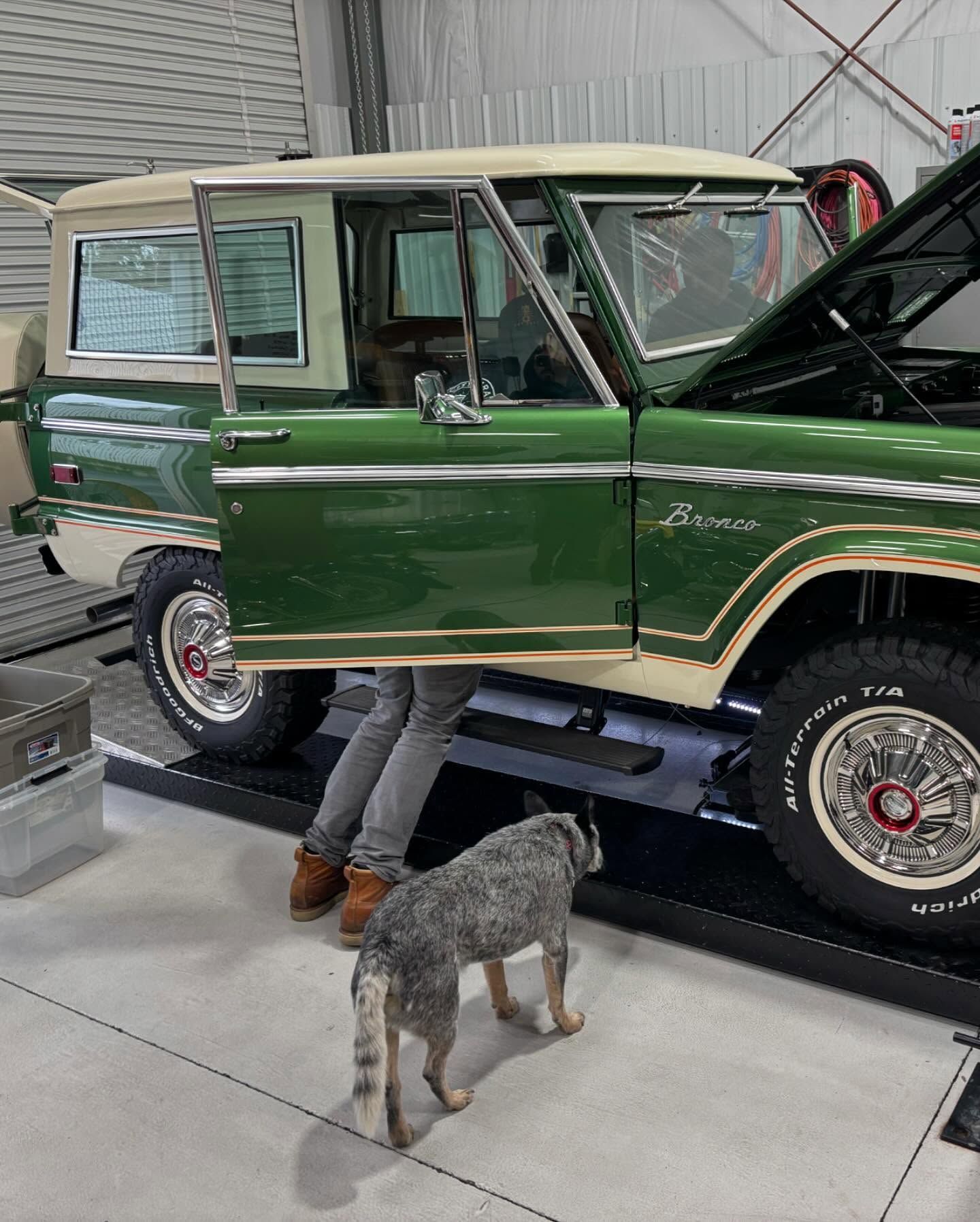 Green vintage SUV in a garage with its hood open, a person partly visible, and a small dog standing nearby