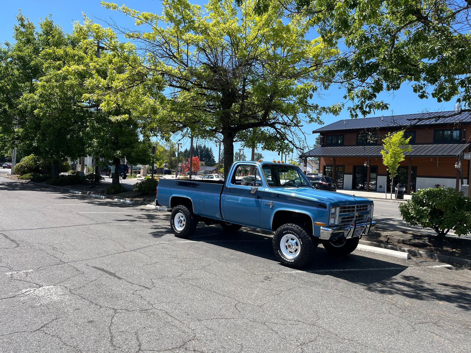 Blue pickup truck parked on a sunny street beside trees and a building