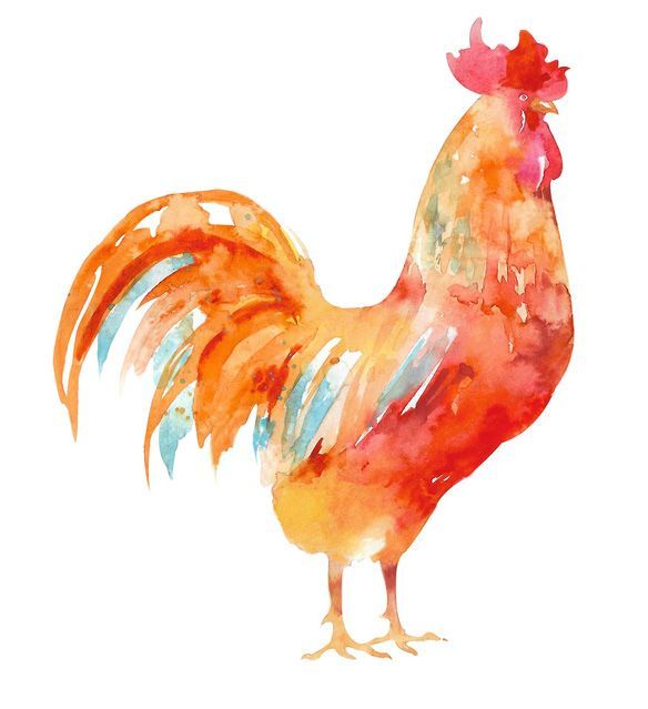figura di un pollo