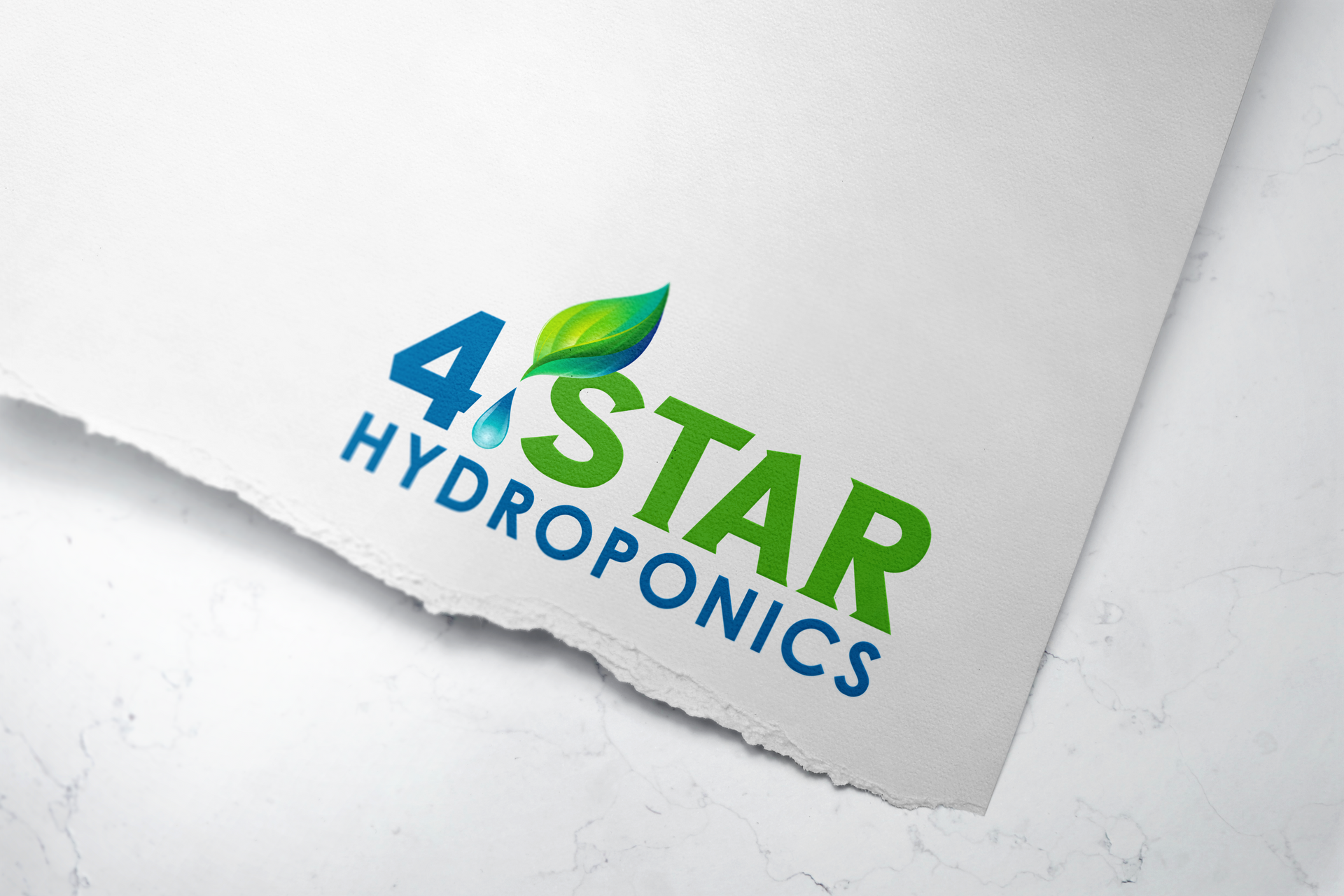 Logo for 4 Star Hydroponics: Blue and green text and leaf with water drop graphic.