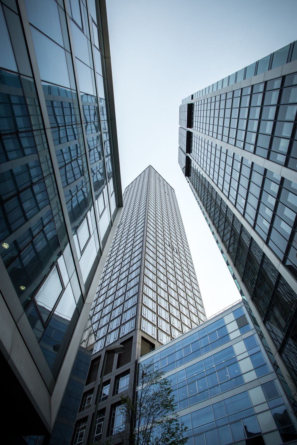Looking up at modern glass skyscrapers against a pale sky
