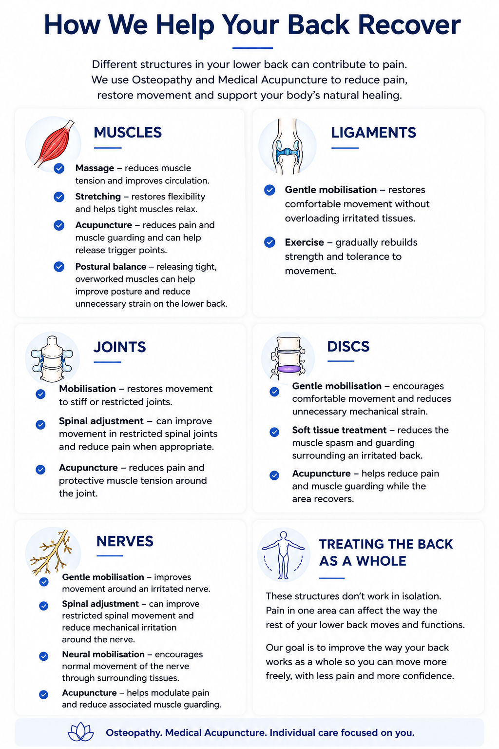 Infographic titled “How We Help Your Back Recover” with blue and black text about muscles, ligaments, joints, discs, nerves, and treatment.