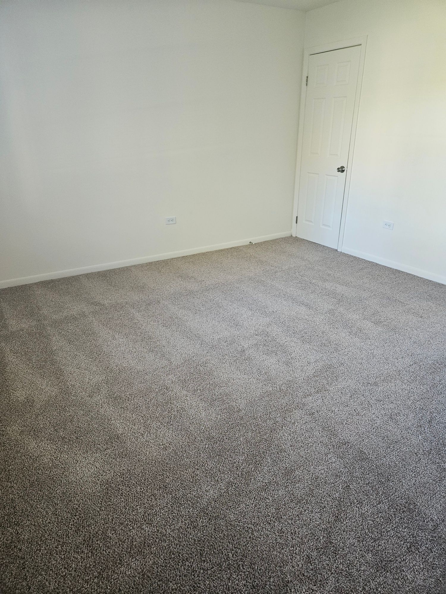 Empty white room with gray carpet and a closed door on the right