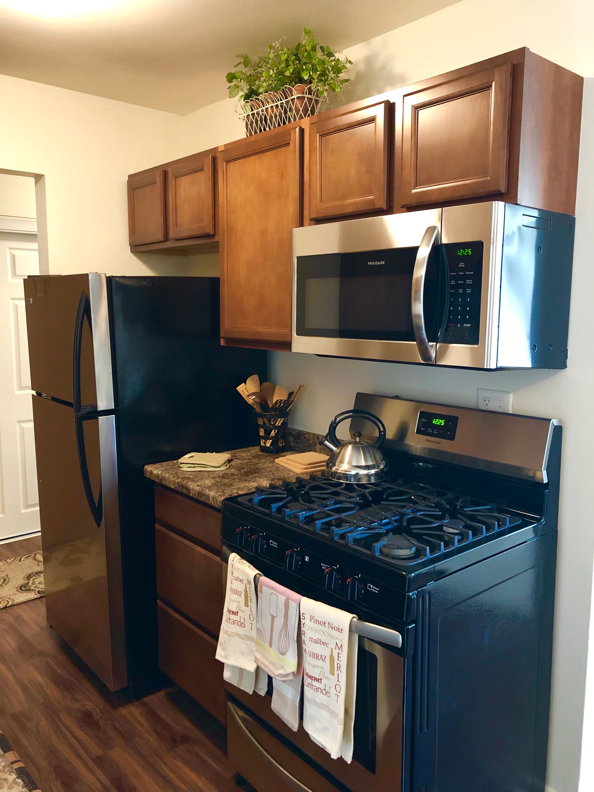 Small kitchen with wood cabinets, black stove, stainless fridge, and a potted plant on top.