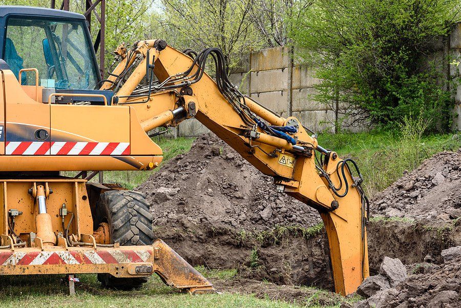 Root Excavation