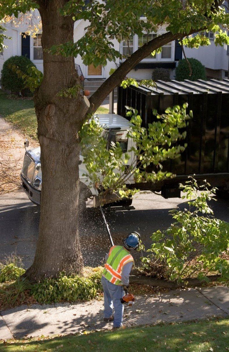 Pruning