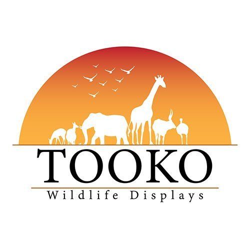 tooko
