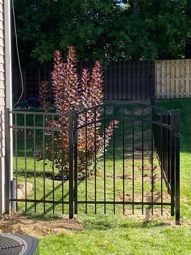 Black metal fence encloses a small section of yard with a tree; green grass and trees in the background.