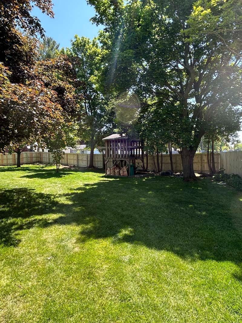 Green grassy backyard with a wooden playset, surrounded by trees and a wooden fence.