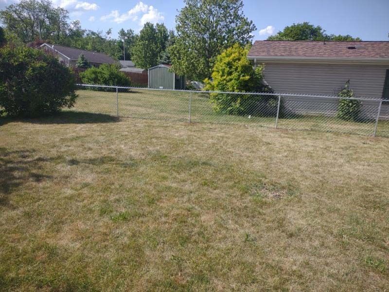 Dry lawn with a chain-link fence, trees, and a beige house under a blue sky.