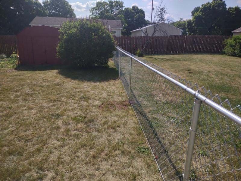 Chain-link fence in backyard with dry grass, a red shed, and a large bush on a sunny day.