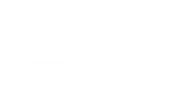White background.
