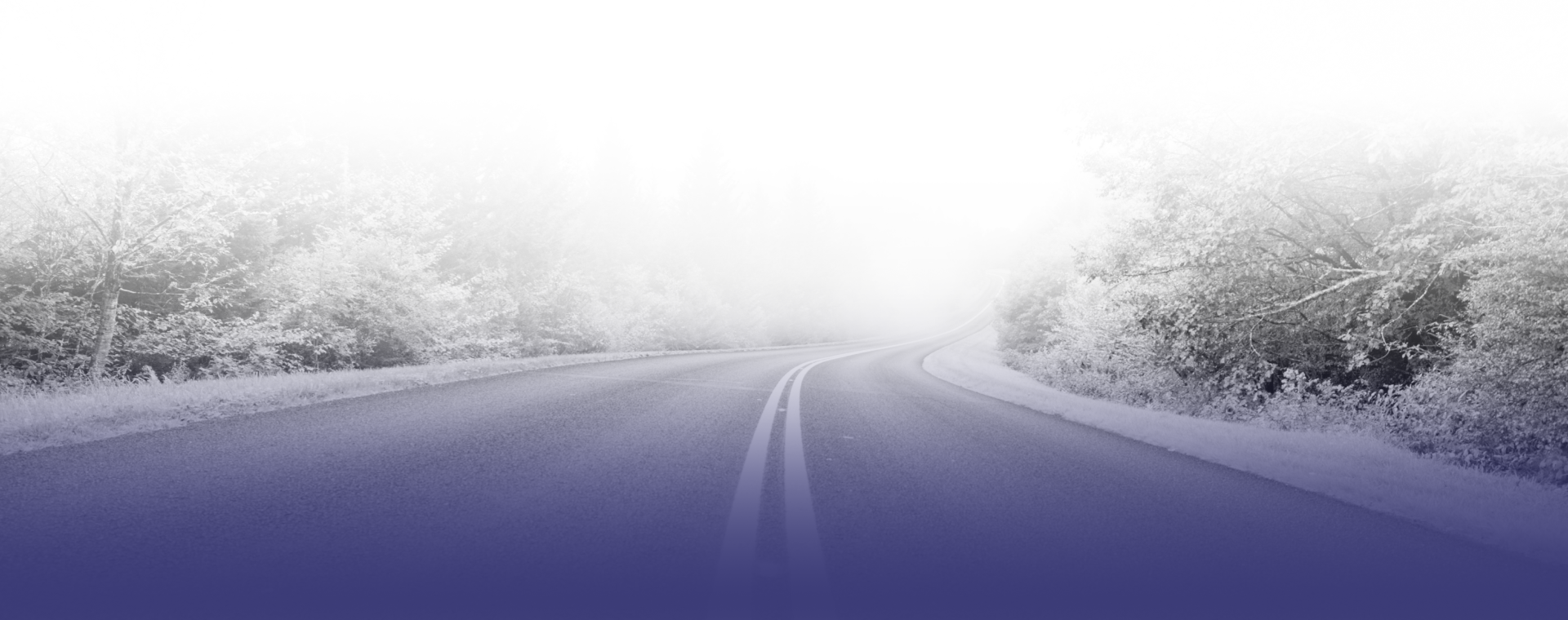 Winding road through a foggy forest with a blue gradient at the bottom.