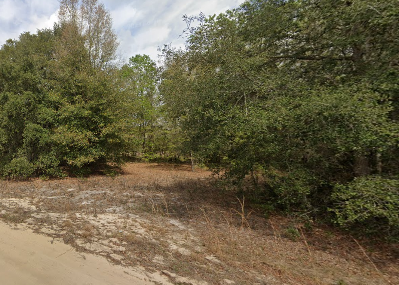 0.22 Acre Lot in Putnam County, FL. Only $231.48 a month!