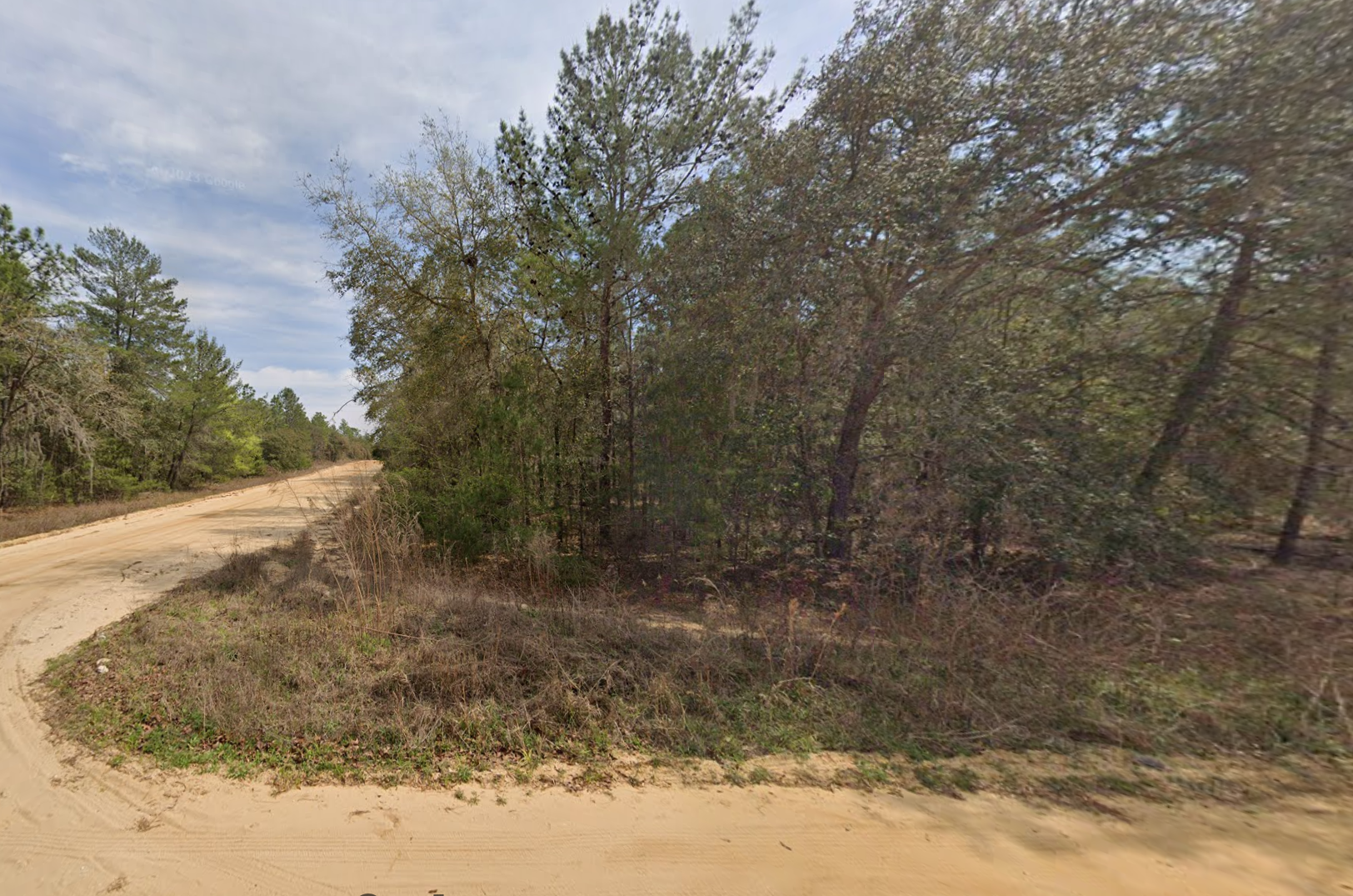 NEW 0.22 acre lot in Putnam County, FL! Only $231.48/mo!
