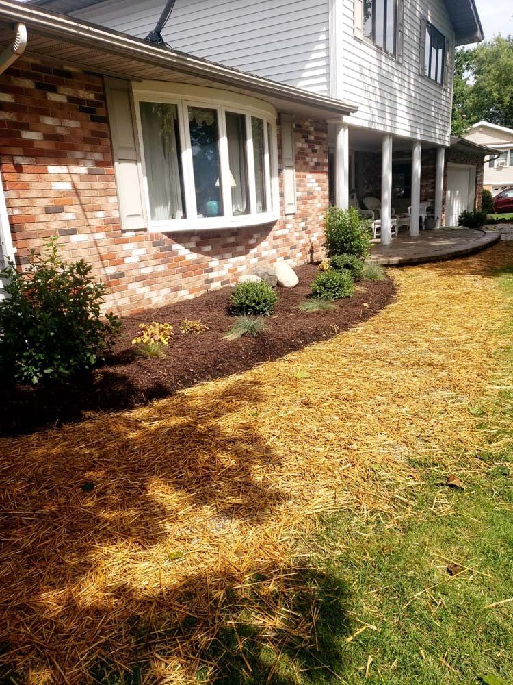 Residential Lawn Maintenance