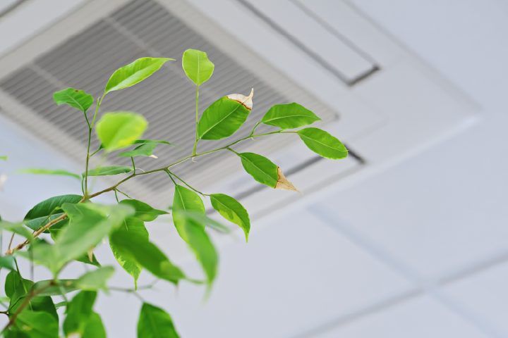 why is indoor air quality important
