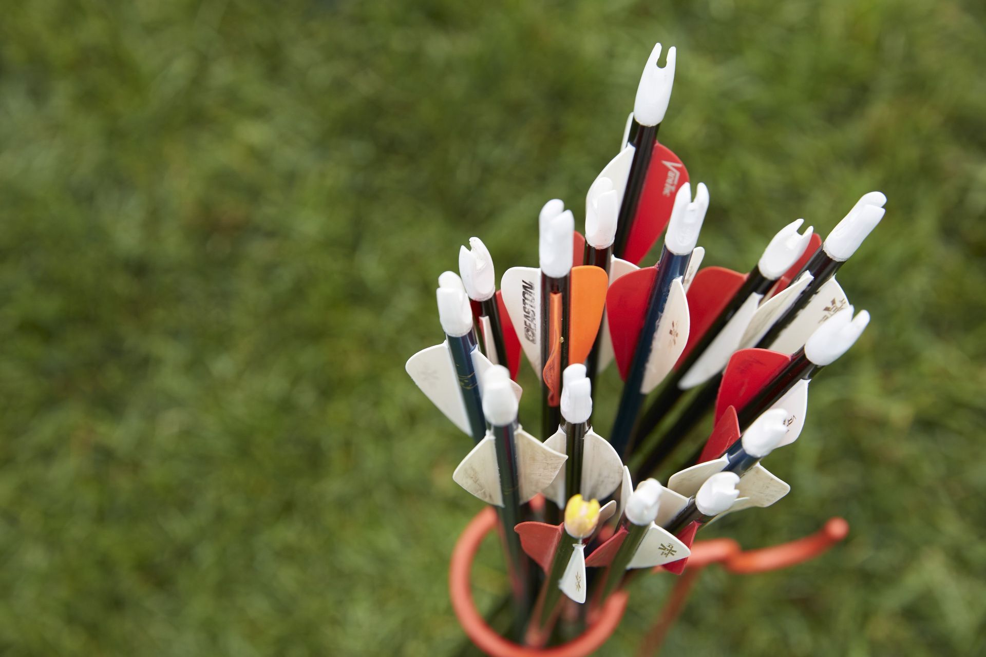 Group of arrows in a quiver.