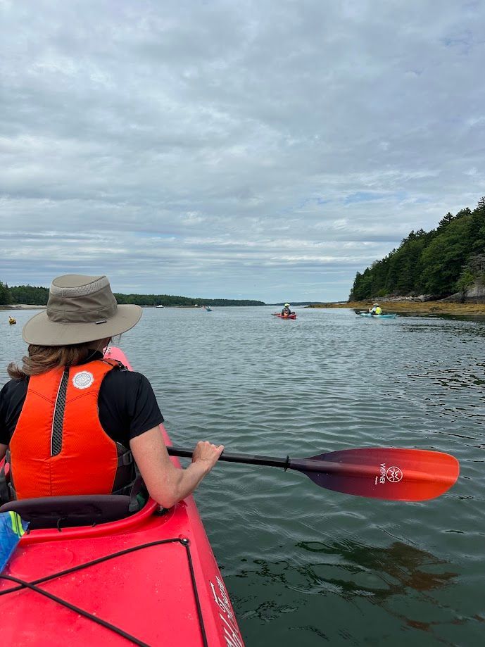 Group of kayakers paddling the coastline on a mostly cloudy day.