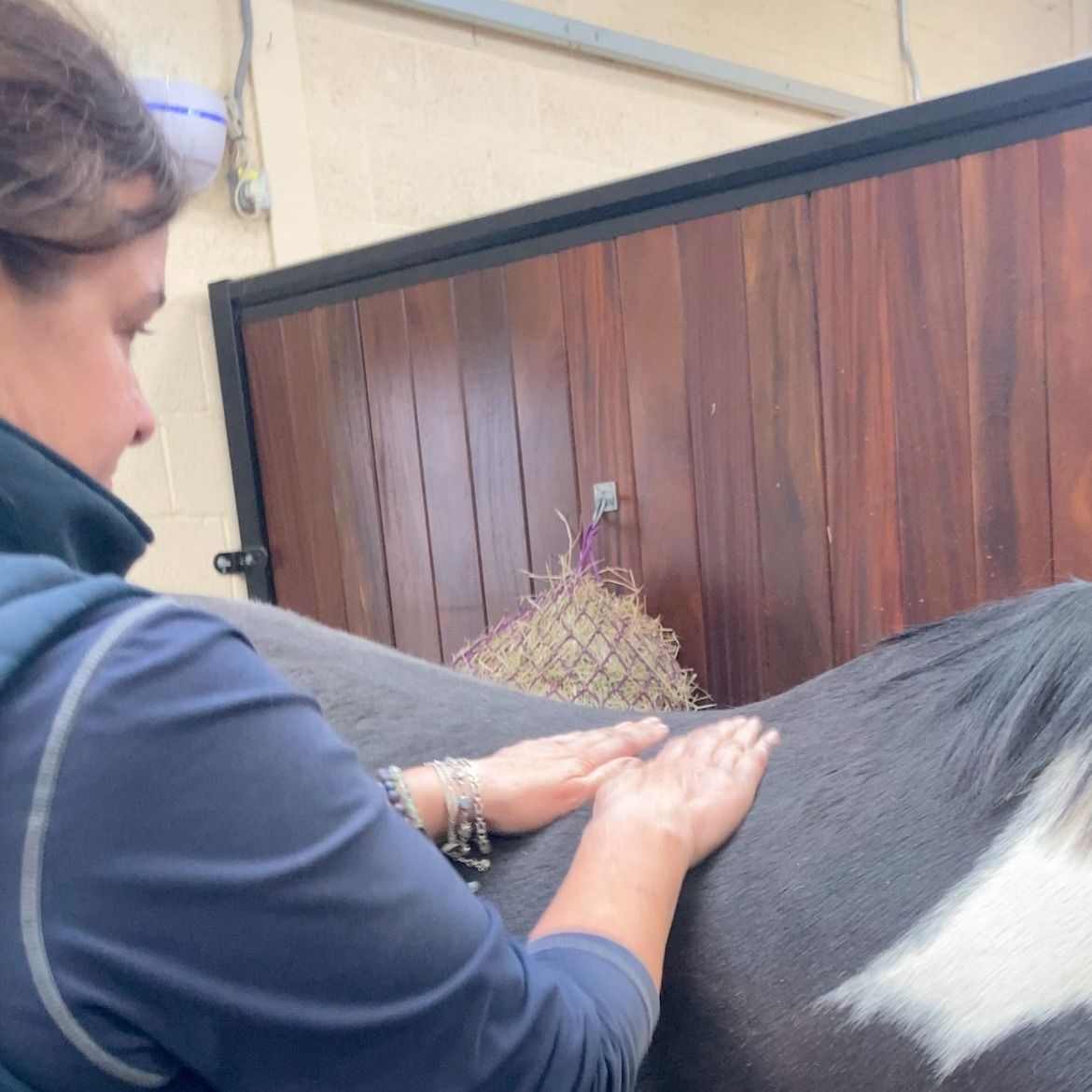 Myofascial release along the longissimus dorsi during a treatment with Sarah Wood from Flying Hooves, Lincolnshire