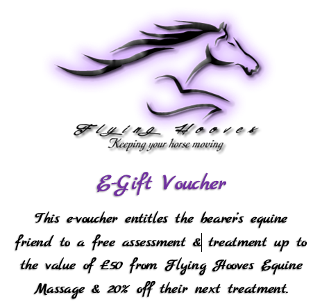 E-gift voucher example