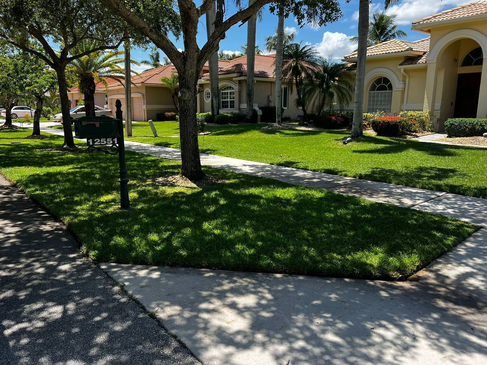  lush green lawn 