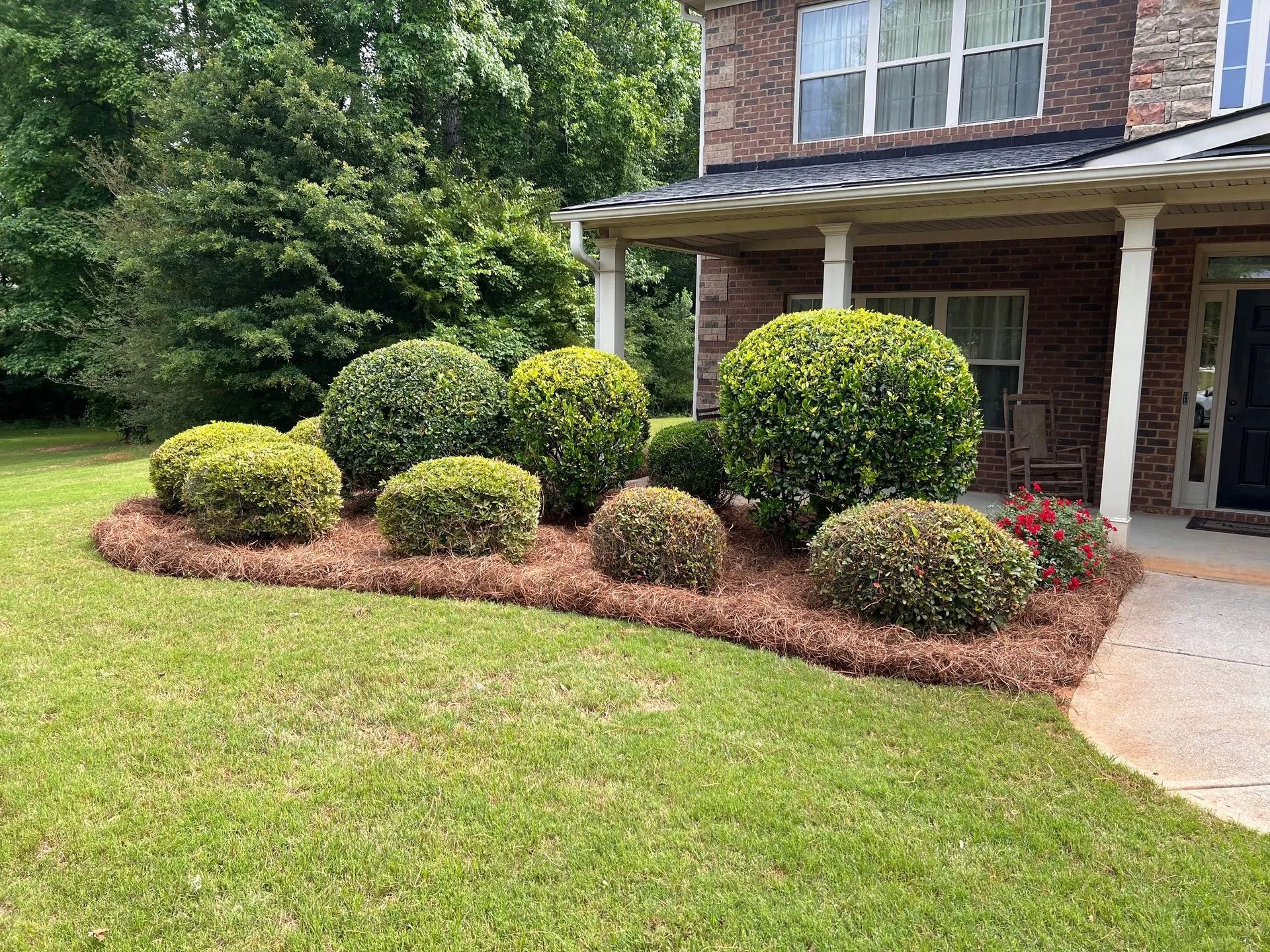 Front yard landscaping with trimmed shrubs, red mulch, and a brick house porch.
