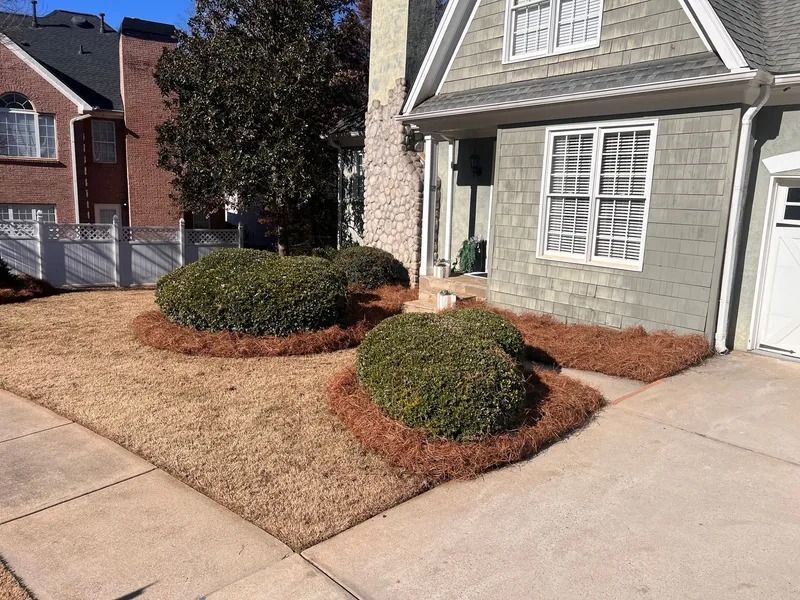 Front yard landscaping with trimmed shrubs and tan mulch beside a gray house and driveway