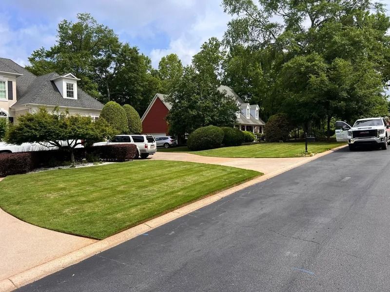 Quiet suburban street with manicured lawns, houses, trees, and parked cars on a sunny day