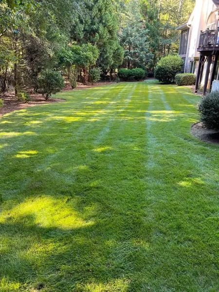 Lush green lawn with sunlight patches beside a building and trees lining the yard