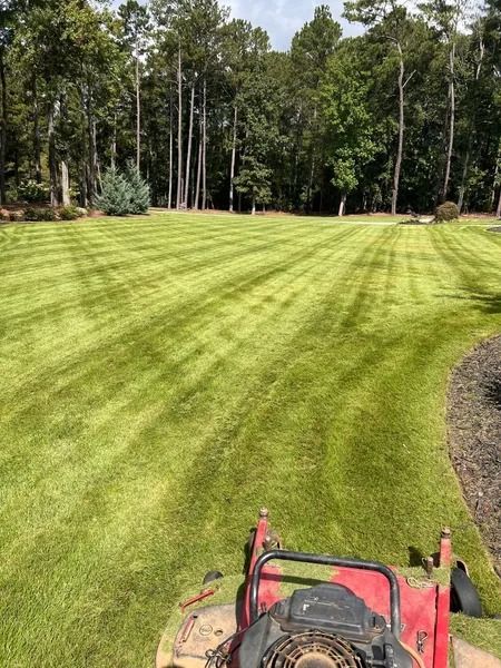 Red lawn mower cutting striped green grass beside a wooded yard