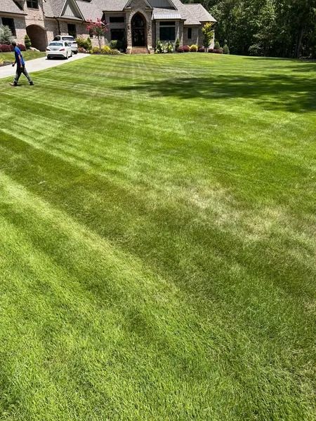 Person mowing a striped green lawn in front of a house