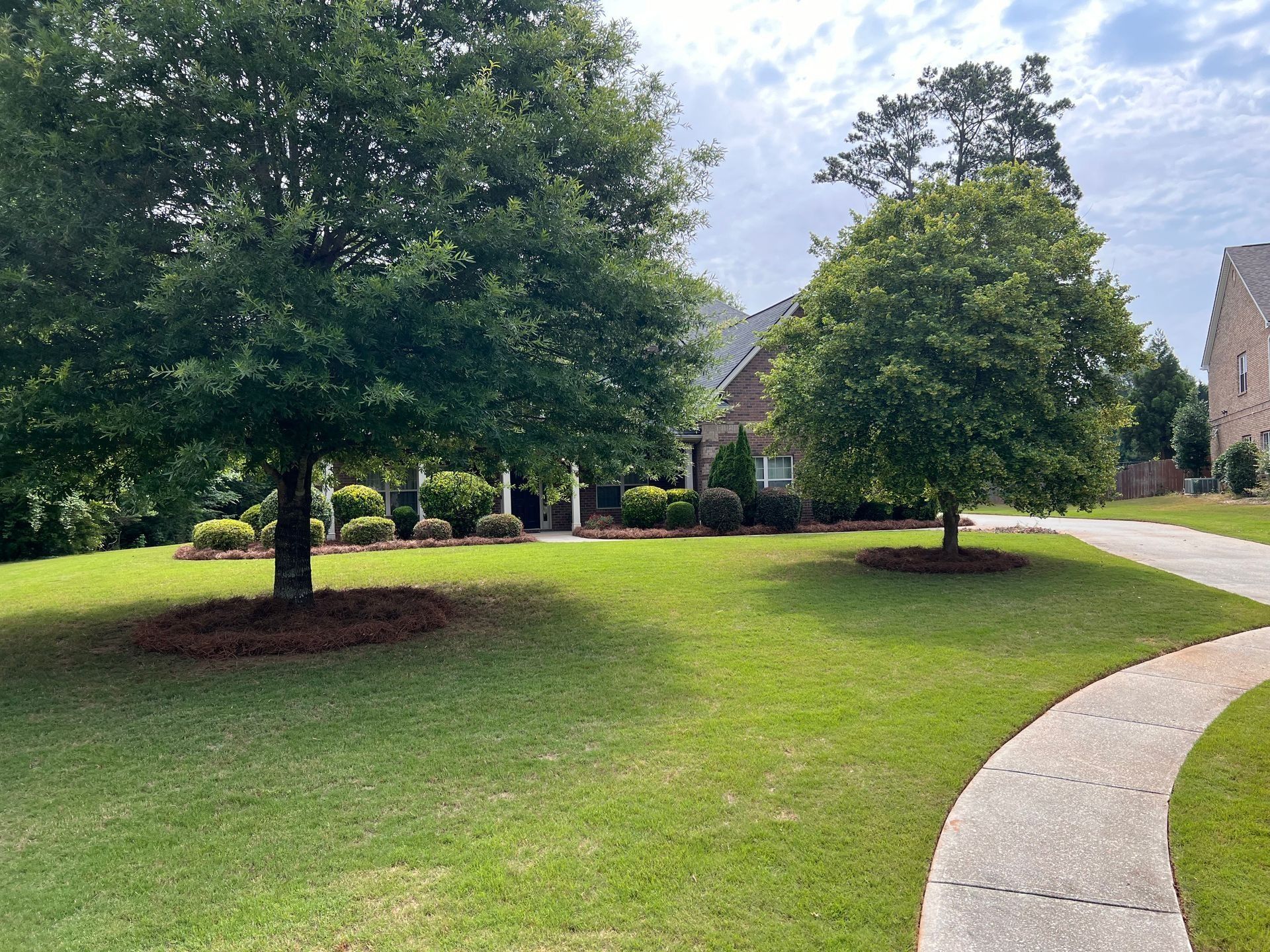 Suburban park with green lawn, two trees, and a curved sidewalk by homes under a cloudy sky