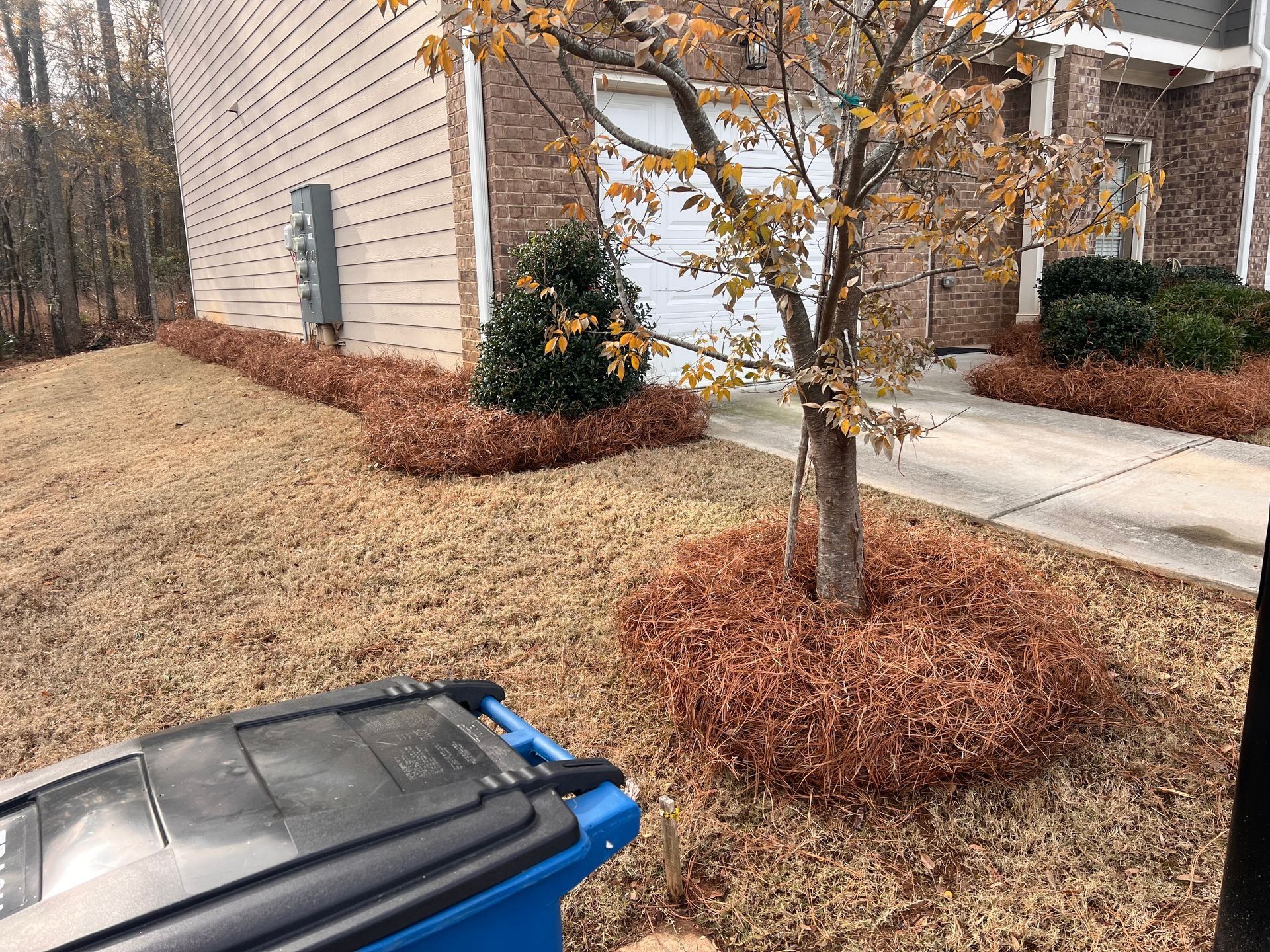 Yard with a tree, beige house, driveway, and a trash bin in the foreground.