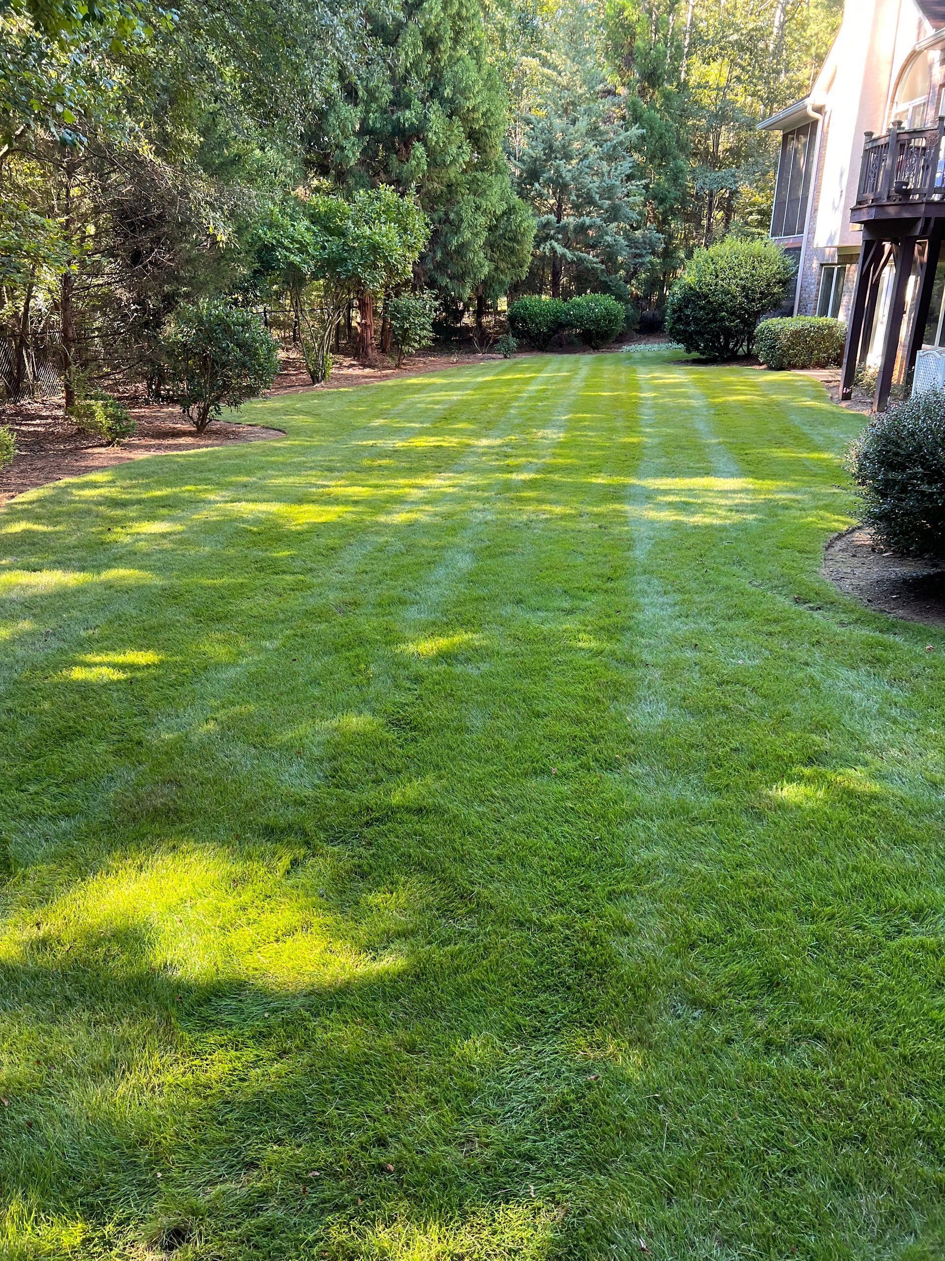 Sunlit green lawn bordered by trees and shrubs, with a house partially visible on the right