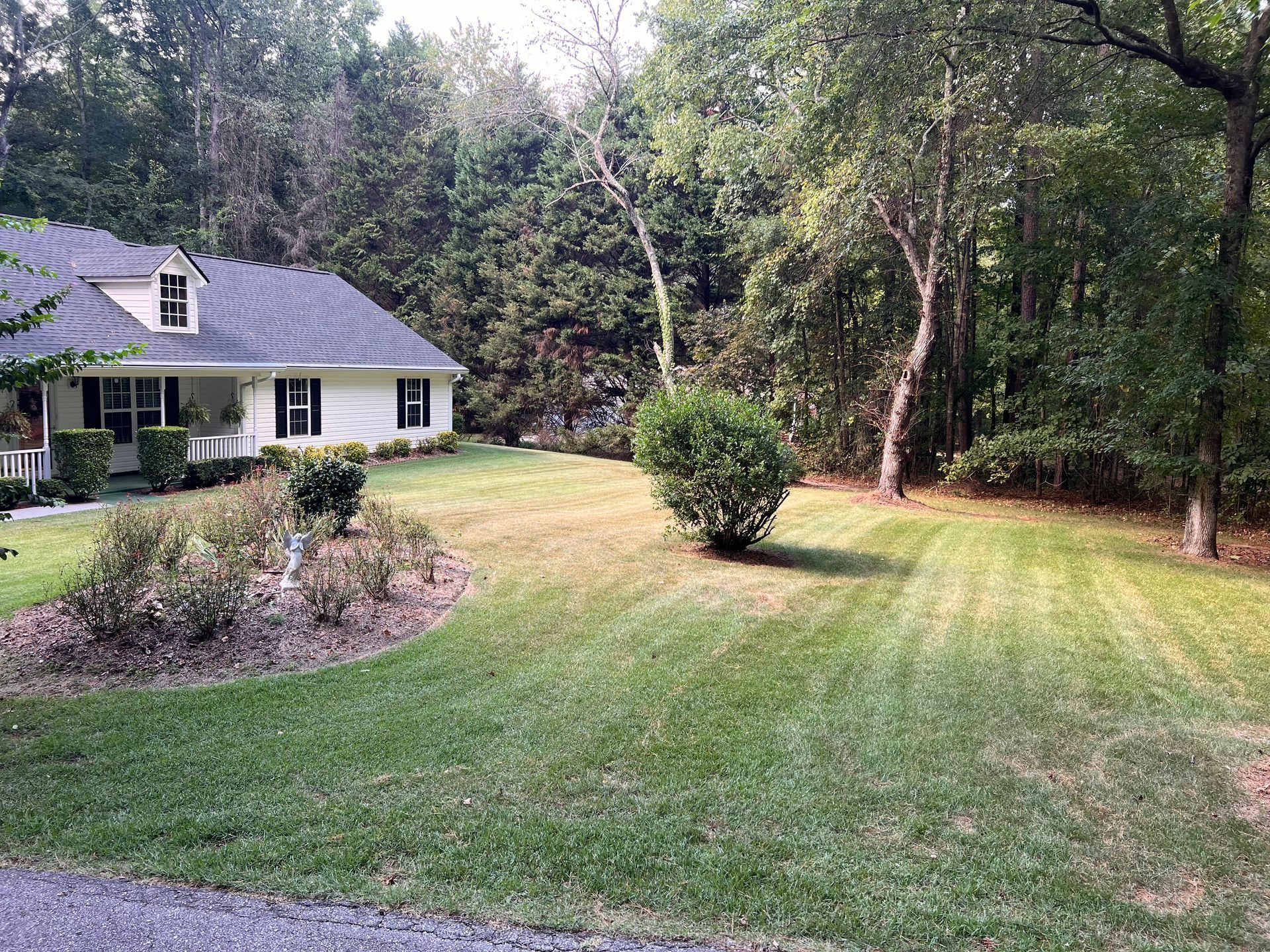 Suburban house with a large grassy yard and trees in the background