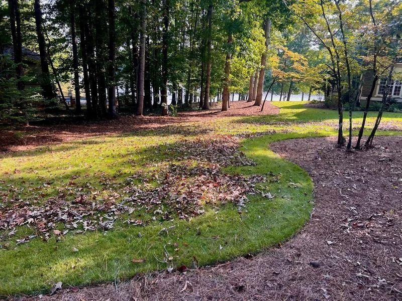 Curved gravel path through a grassy park with trees and fallen leaves in autumn light