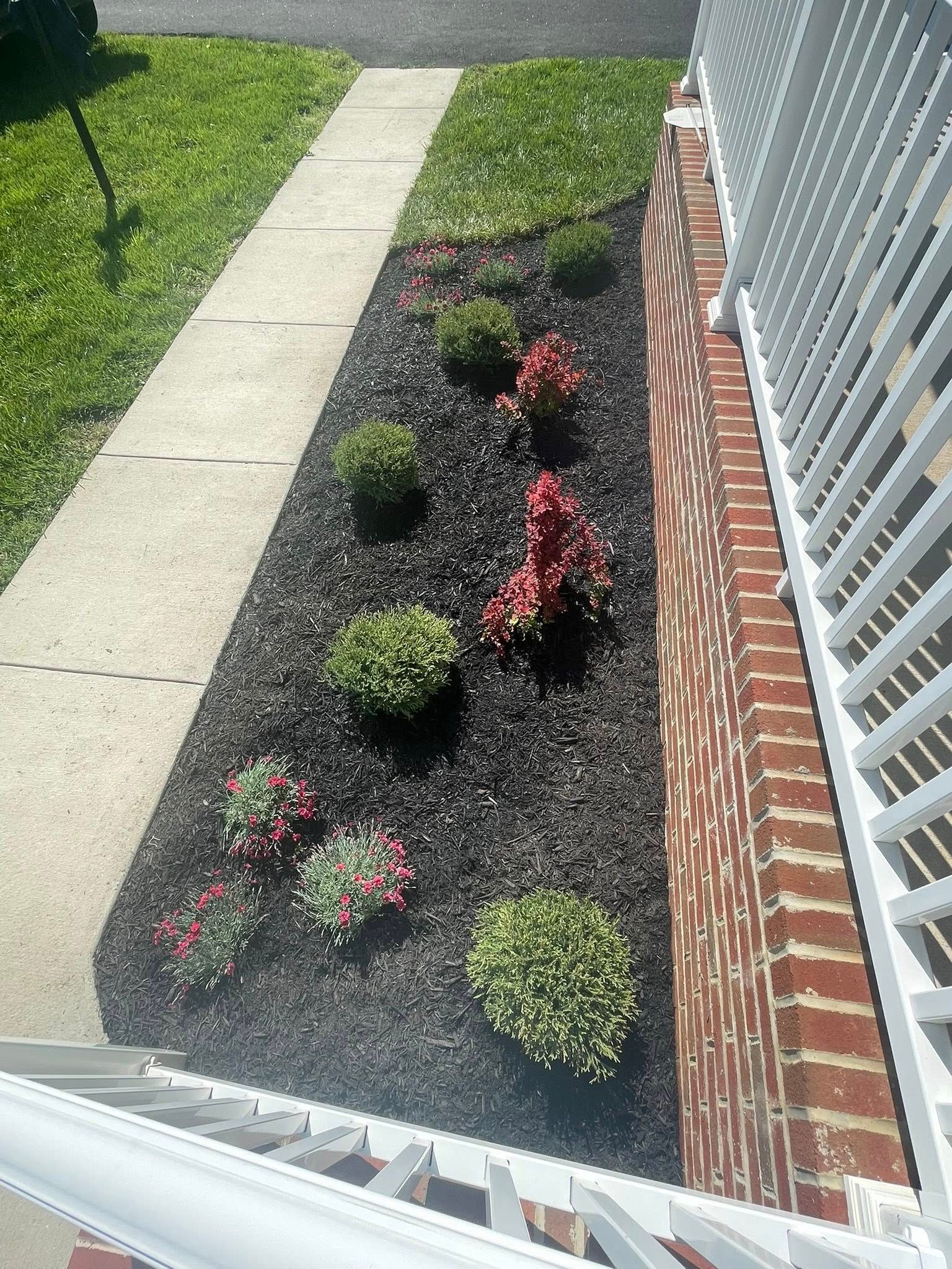 Front yard flower bed with small shrubs and red flowers beside a sidewalk and brick house wall