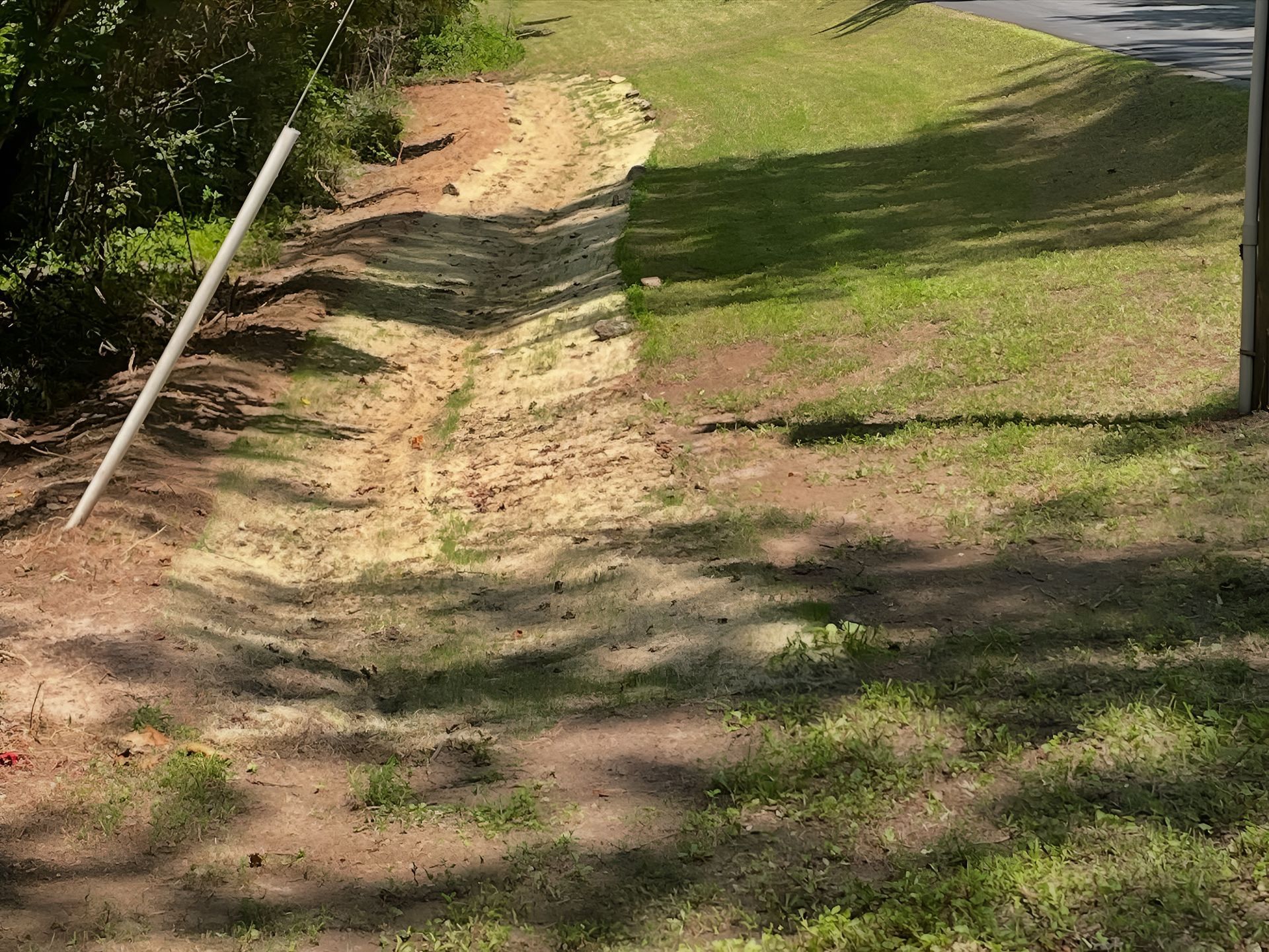 Dirt path beside a grassy roadside, with trees casting shadows and a utility pole on the right.