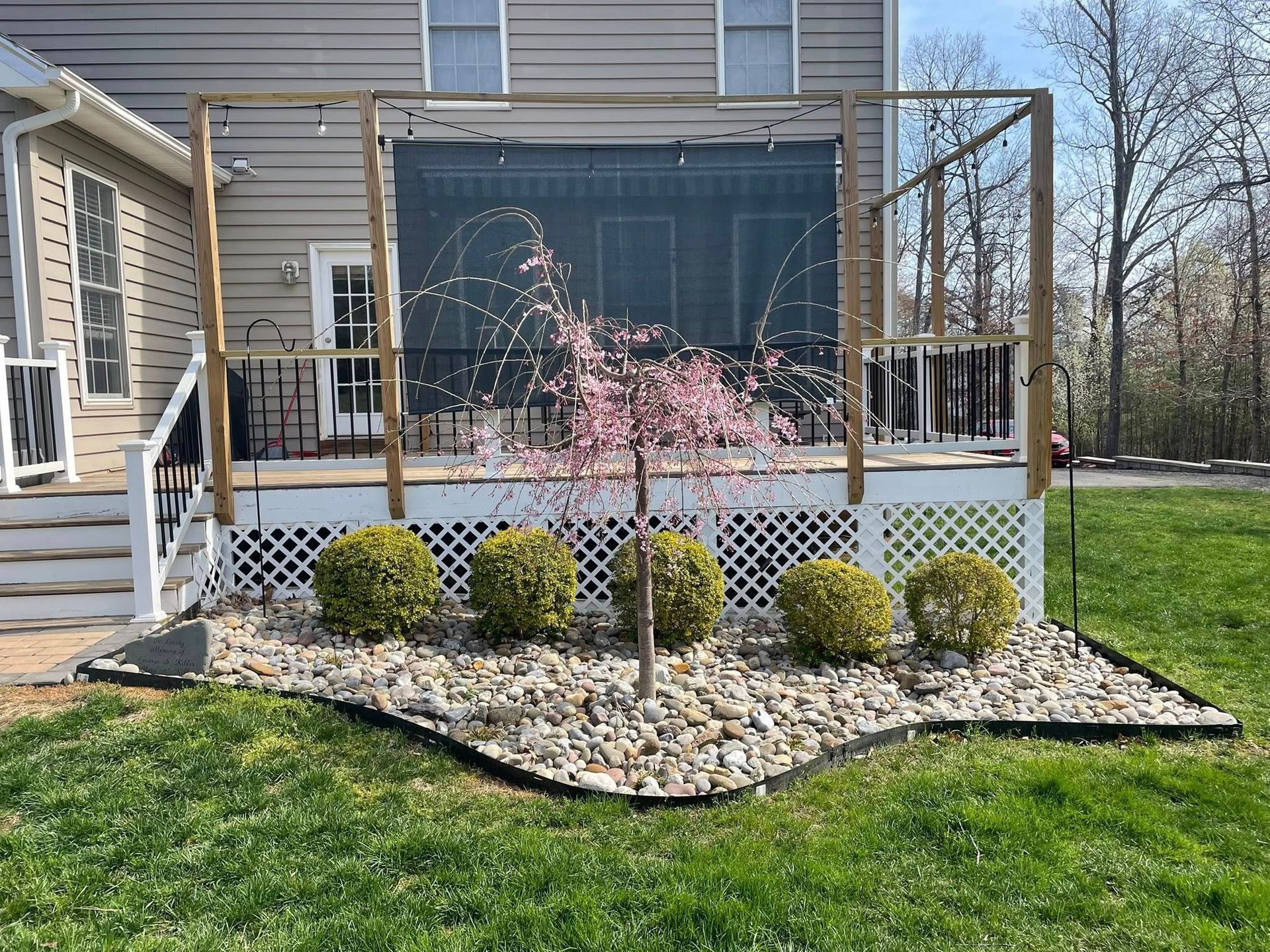 Backyard deck with white lattice, potted pink flowering tree, and stone landscaping beside a house.