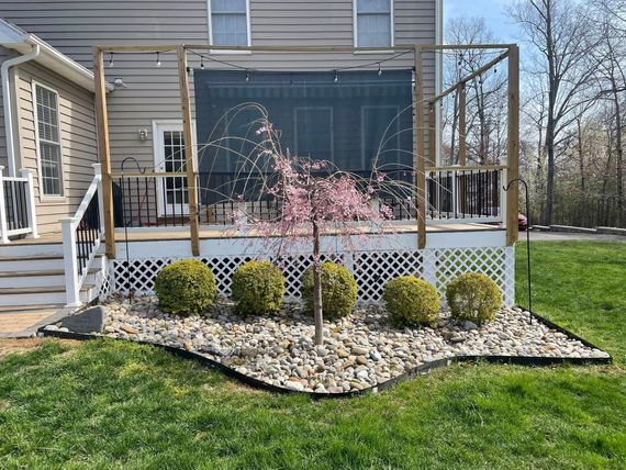 Backyard deck with lattice skirting, potted flowering tree, and trimmed shrubs bordered by white rock mulch