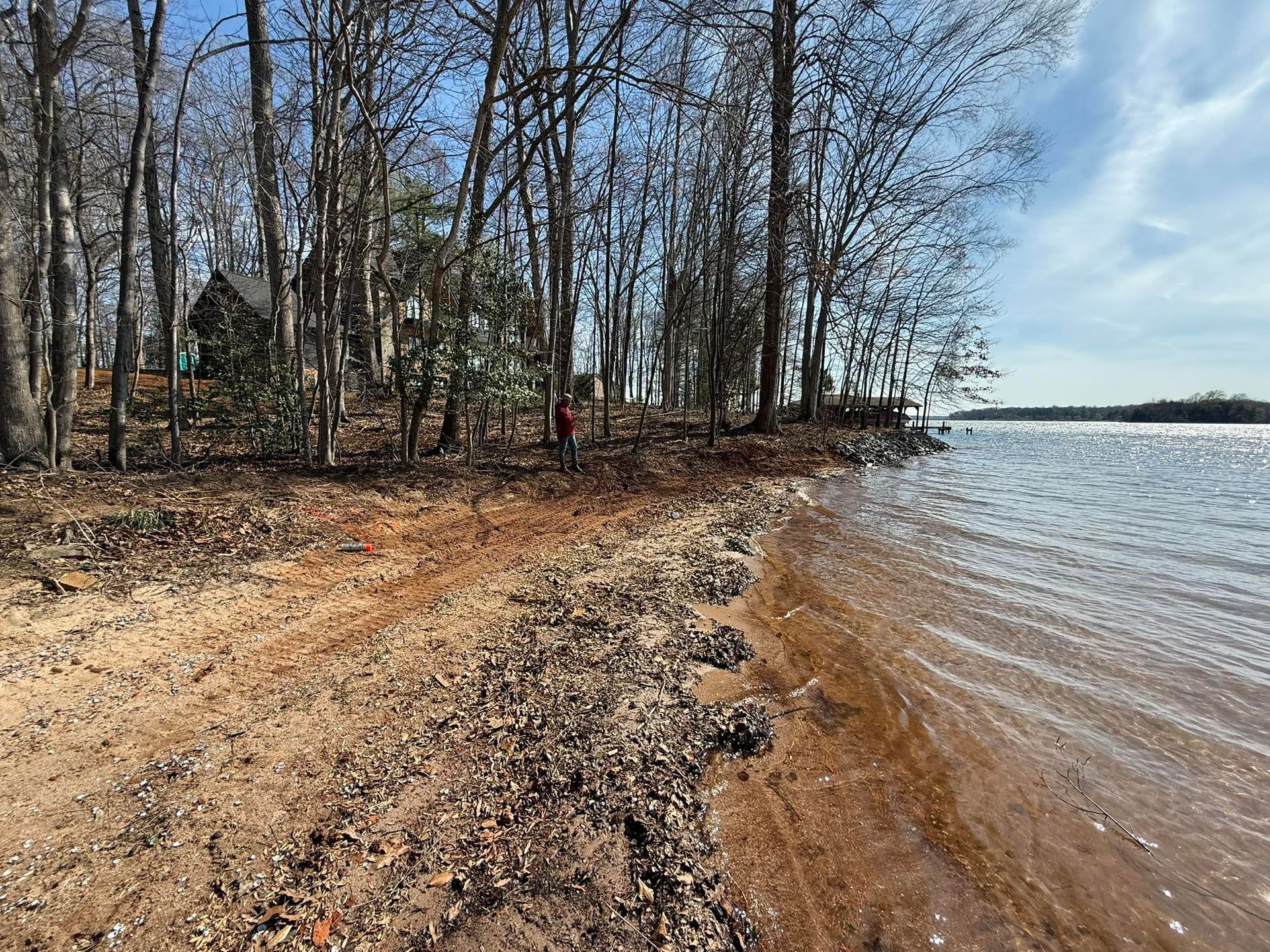 Rocky shoreline with leafless trees along a calm lake under a blue sky