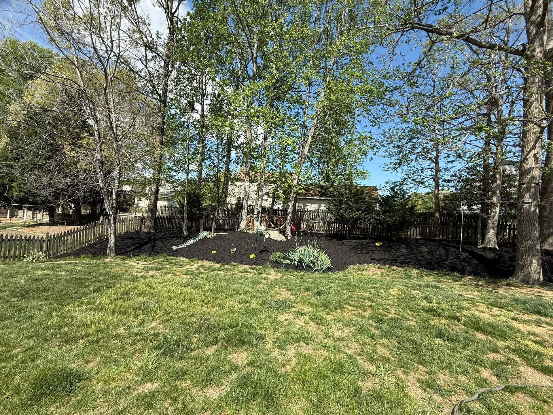 A grassy yard with a black mulch garden bed, trees, and a house in the background under a blue sky.