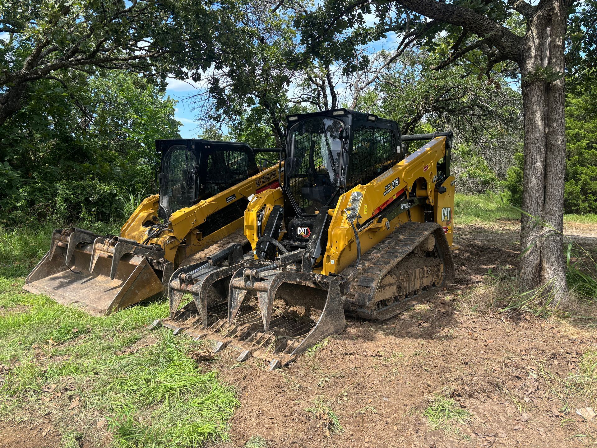 Two yellow skid steer loaders parked under trees.