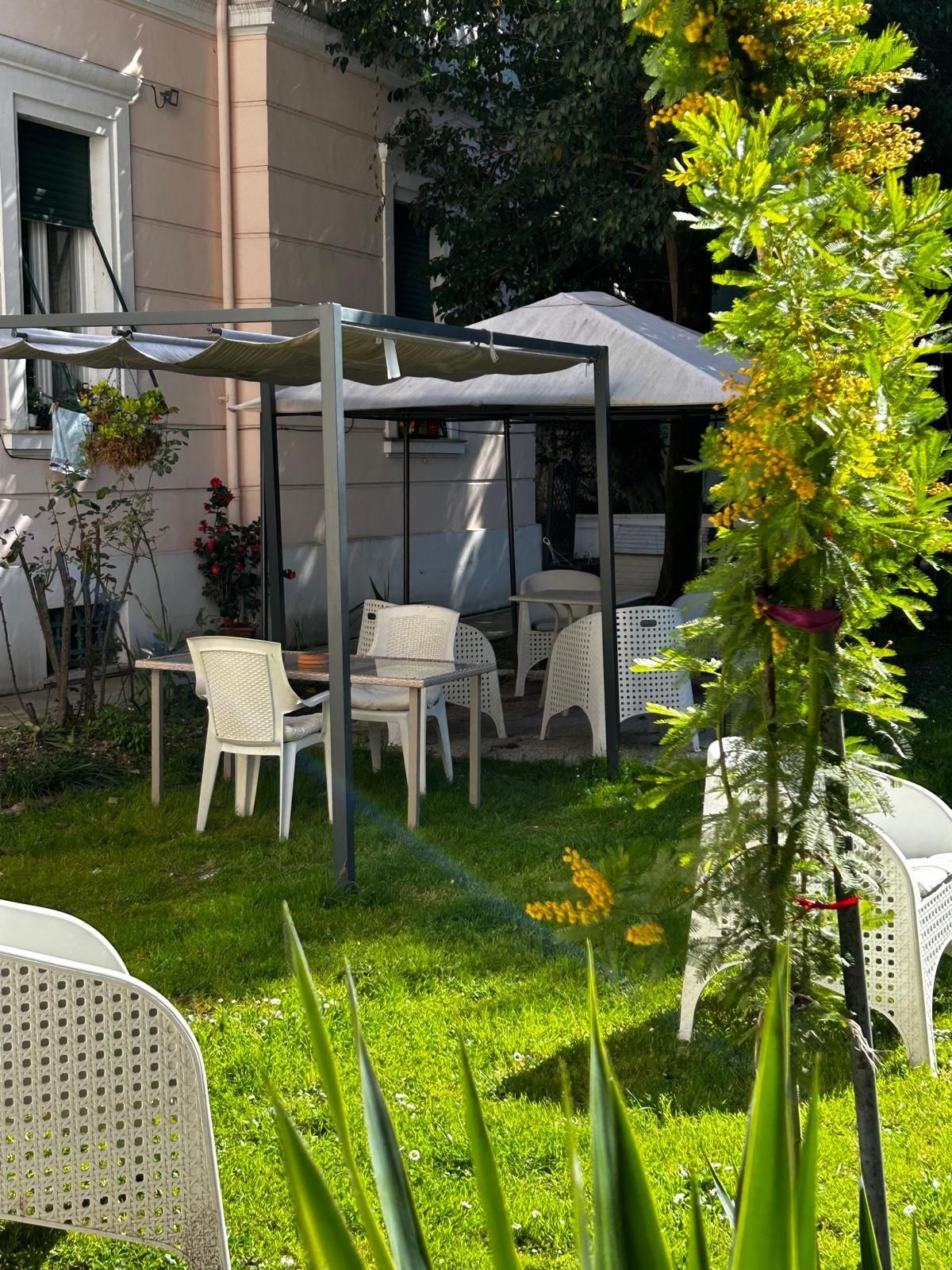 Un prato con sedie e ombrelloni davanti a una casa