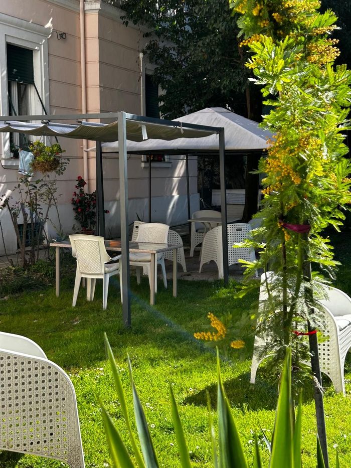 A lawn with chairs and umbrellas in front of a house