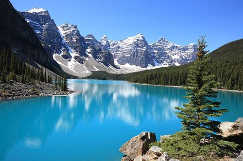 Turquoise mountain lake with snow-capped peaks and pine forest under a clear blue sky