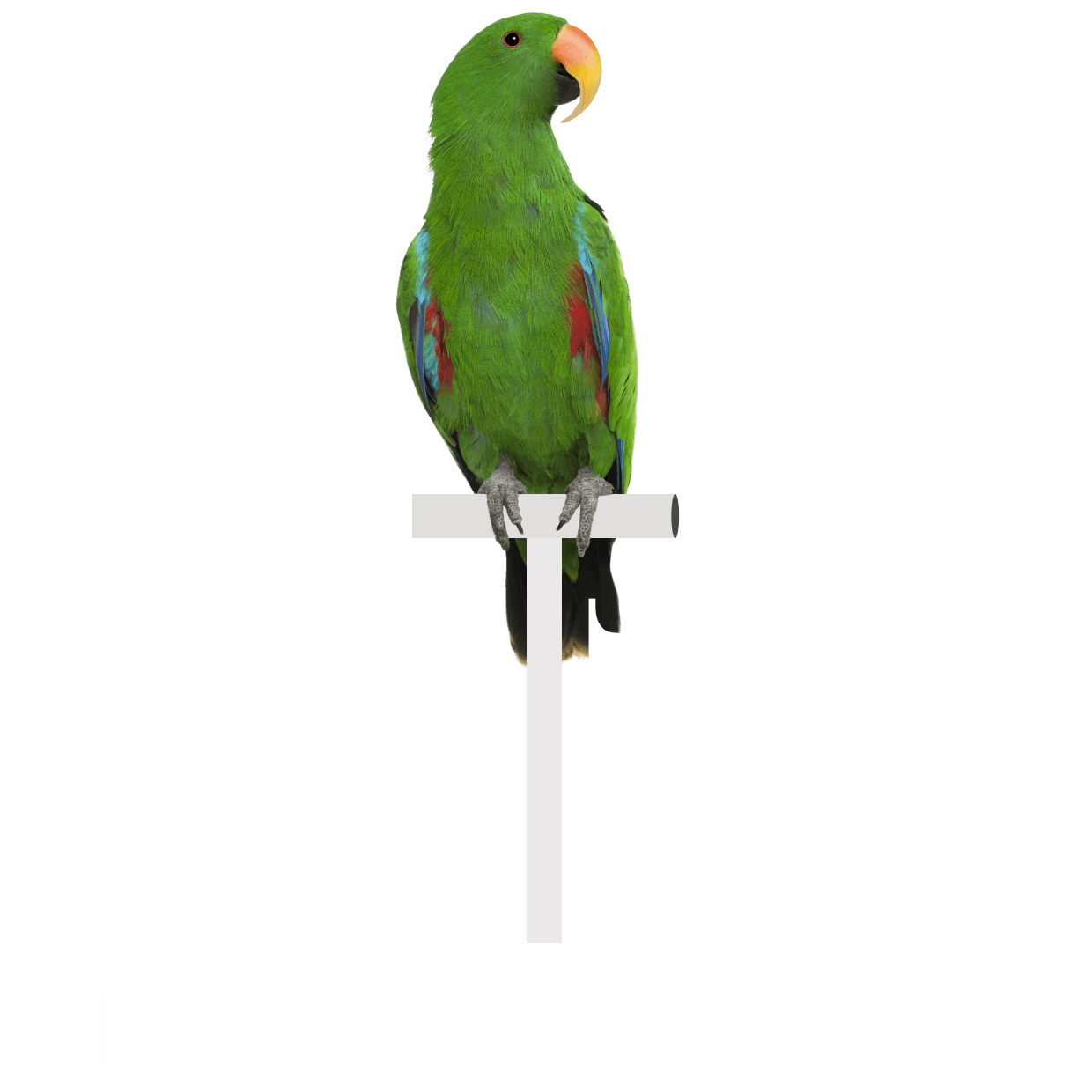 Monali Media logo