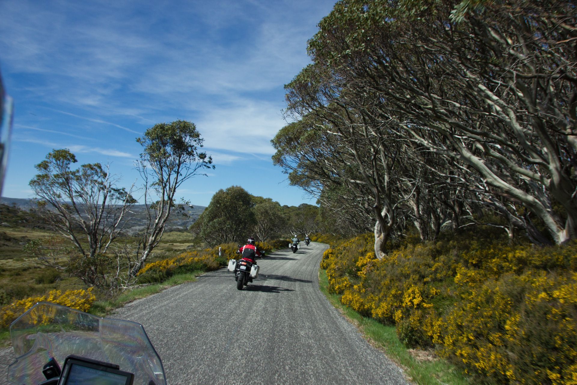 Cyclists riding on a gravel road through a windy, yellow-flowered hillside under a blue sky